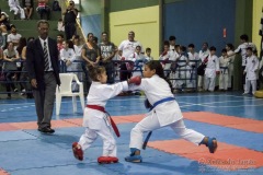 V Copa Sensei José André Ferreira