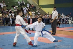 V Copa Sensei José André Ferreira