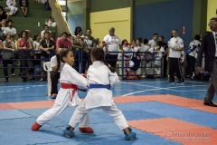 V Copa Sensei José André Ferreira