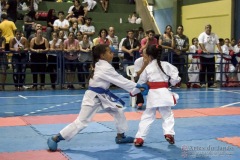 V Copa Sensei José André Ferreira