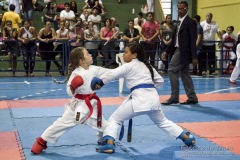 V Copa Sensei José André Ferreira