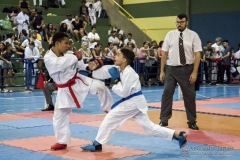 V Copa Sensei José André Ferreira