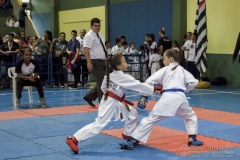 V Copa Sensei José André Ferreira