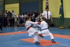 V Copa Sensei José André Ferreira