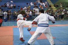 V Copa Sensei José André Ferreira