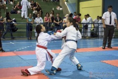 V Copa Sensei José André Ferreira