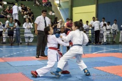 V Copa Sensei José André Ferreira