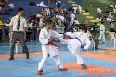 V Copa Sensei José André Ferreira