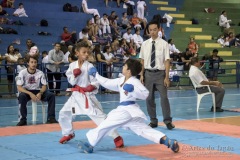 V Copa Sensei José André Ferreira