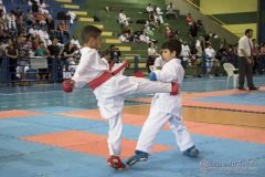 V Copa Sensei José André Ferreira