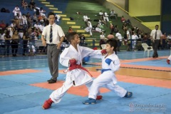 V Copa Sensei José André Ferreira