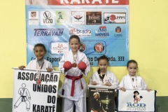 V Copa Sensei José André Ferreira