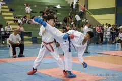 V Copa Sensei José André Ferreira