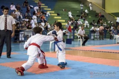 V Copa Sensei José André Ferreira