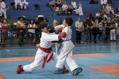 V Copa Sensei José André Ferreira