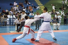 V Copa Sensei José André Ferreira