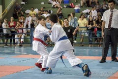 V Copa Sensei José André Ferreira