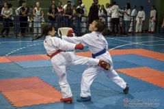 V Copa Sensei José André Ferreira