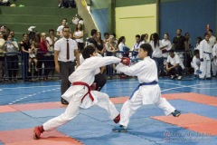 V Copa Sensei José André Ferreira