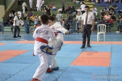 V Copa Sensei José André Ferreira