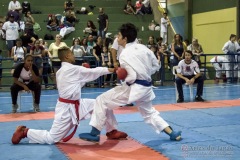 V Copa Sensei José André Ferreira