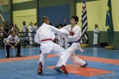 V Copa Sensei José André Ferreira