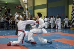 V Copa Sensei José André Ferreira