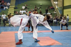 V Copa Sensei José André Ferreira