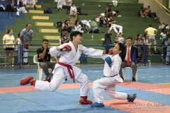 V Copa Sensei José André Ferreira