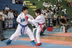 V Copa Sensei José André Ferreira