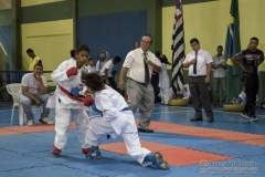 V Copa Sensei José André Ferreira