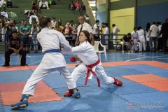 V Copa Sensei José André Ferreira