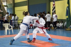 V Copa Sensei José André Ferreira