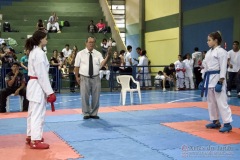 V Copa Sensei José André Ferreira