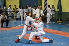 V Copa Sensei José André Ferreira