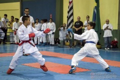 V Copa Sensei José André Ferreira