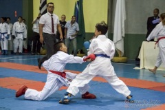 V Copa Sensei José André Ferreira