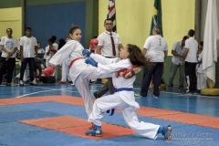 V Copa Sensei José André Ferreira