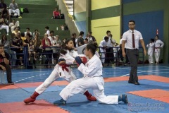 V Copa Sensei José André Ferreira