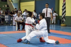 V Copa Sensei José André Ferreira