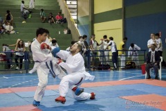 V Copa Sensei José André Ferreira