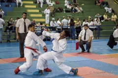 V Copa Sensei José André Ferreira