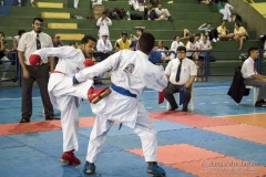 V Copa Sensei José André Ferreira