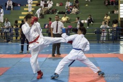 V Copa Sensei José André Ferreira