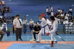 V Copa Sensei José André Ferreira