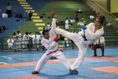 V Copa Sensei José André Ferreira