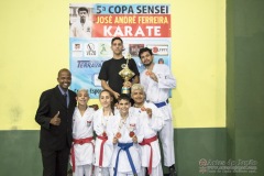 V Copa Sensei José André Ferreira