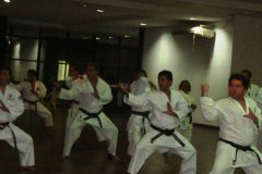 Curso_de_Karate-Do_Goju-Kai_Em_Belem-10
