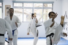 Curso Shiai Kumite e Reigi Saho