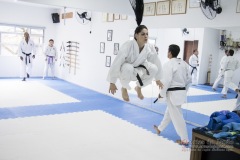 Curso Shiai Kumite e Reigi Saho